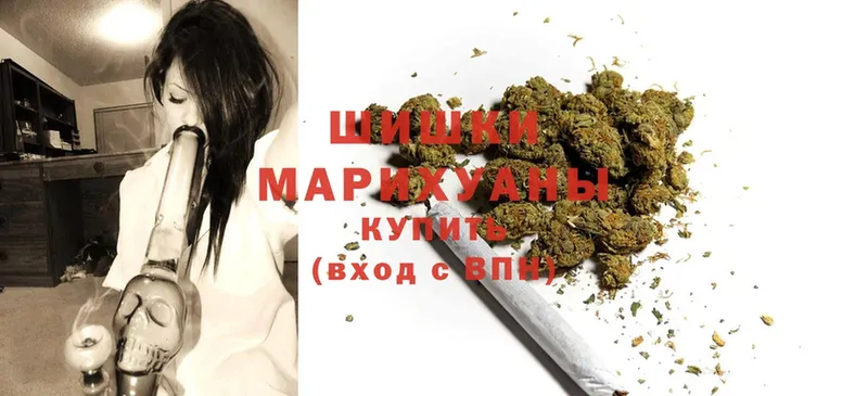 Бошки Шишки SATIVA & INDICA  где найти   Елизово 